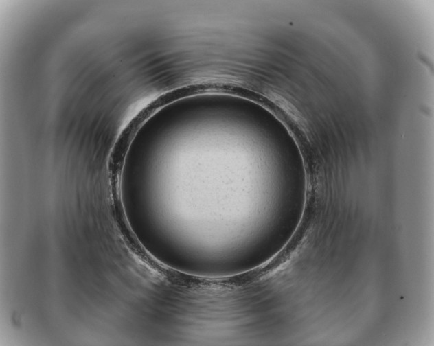 X0000091181022200708161514
