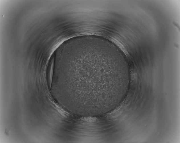 X0000091181023200708161514