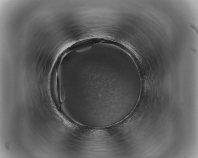 X0000091181024200708161514