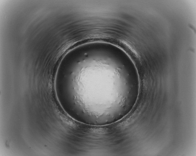 X0000091181025200708161514