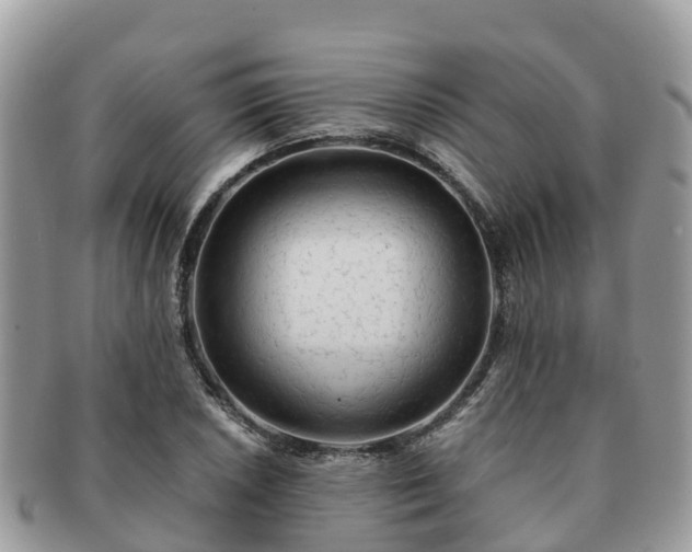 X0000091181026200708161514