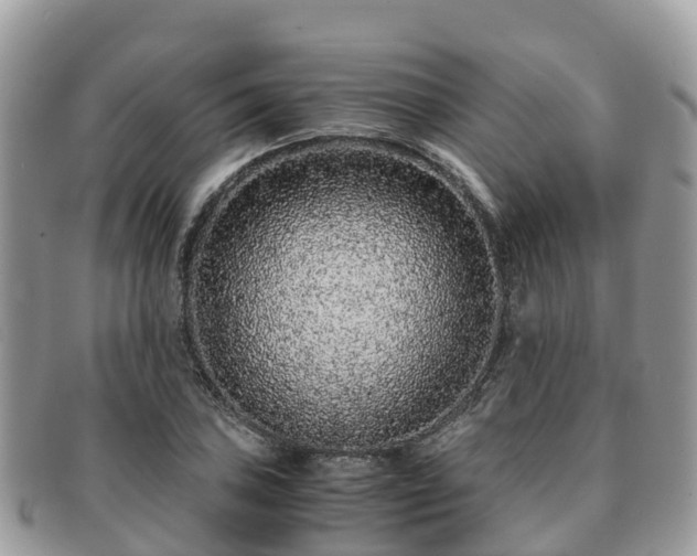 X0000091181027200708161514