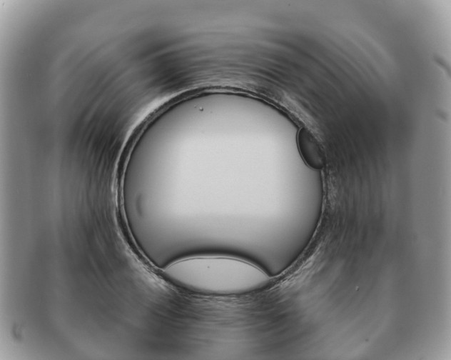 X0000091181028200708161514