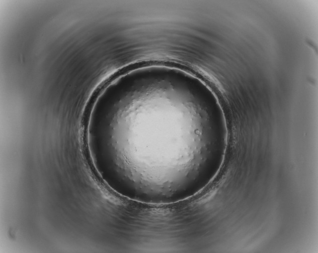 X0000091181029200708161514