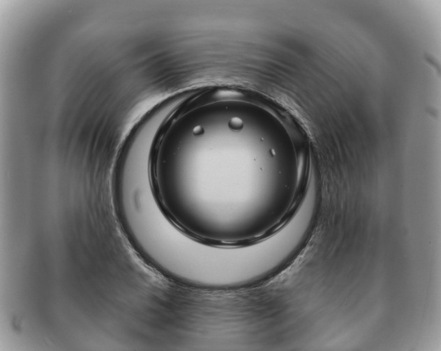 X0000091181030200708161514