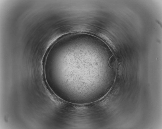 X0000091181031200708161514