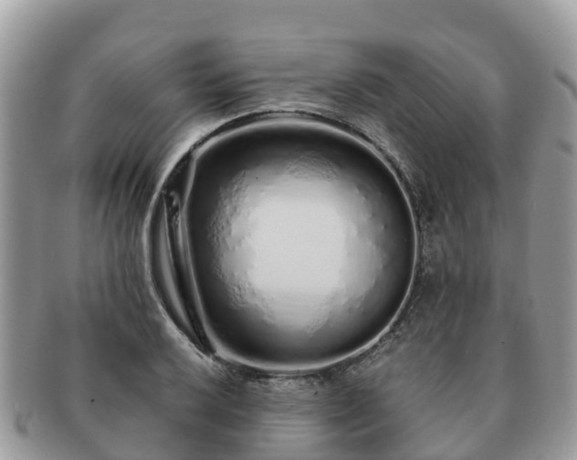 X0000091181032200708161514