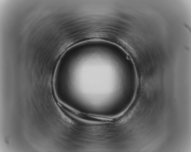 X0000091181033200708161514