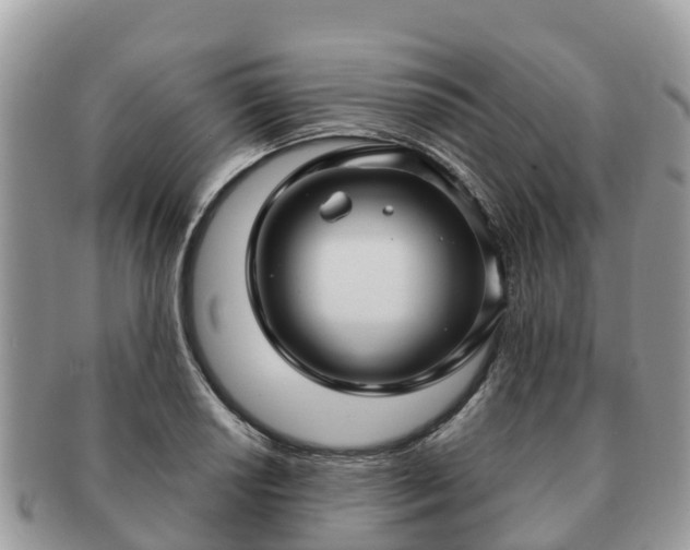 X0000091181034200708161514