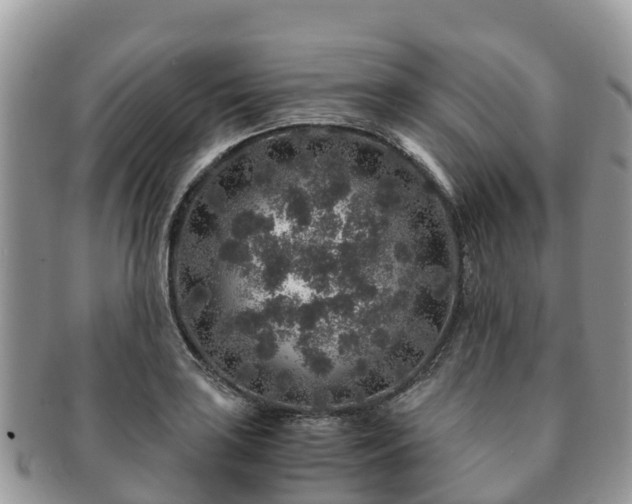 X0000091181035200708161514