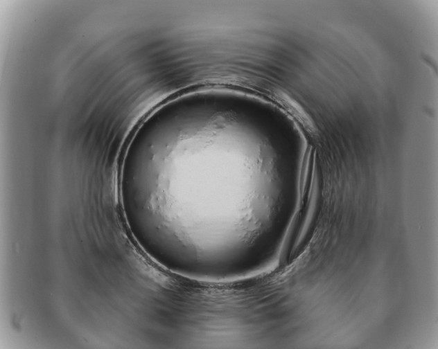 X0000091181036200708161514