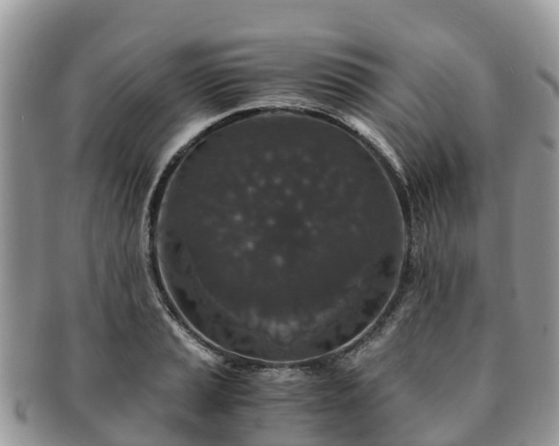X0000091181037200708161514