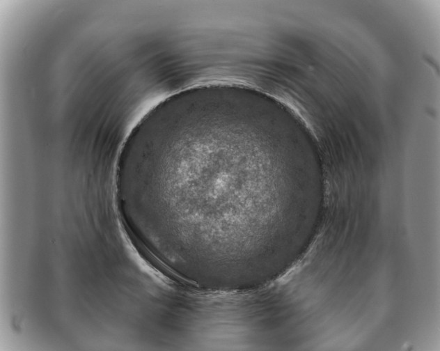 X0000091181038200708161514