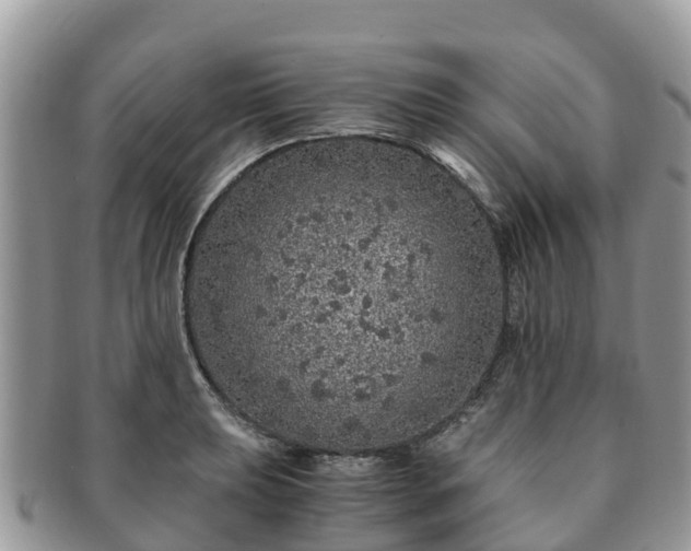 X0000091181039200708161514