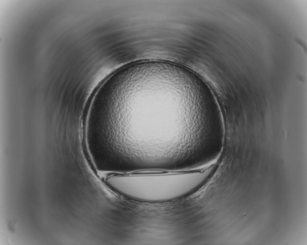 X0000091181040200708161514