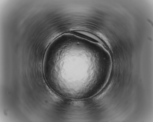 X0000091181041200708161514