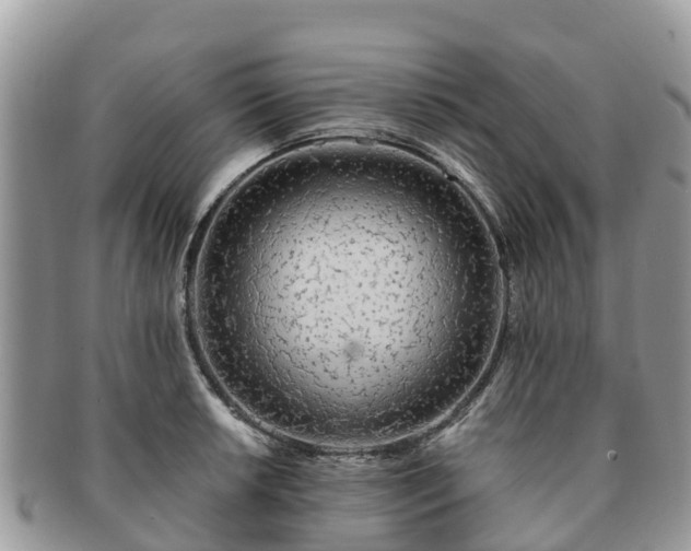 X0000091181042200708161514