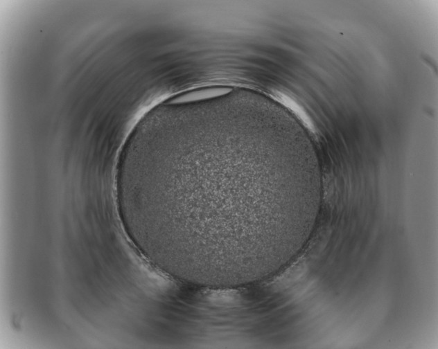 X0000091181043200708161514