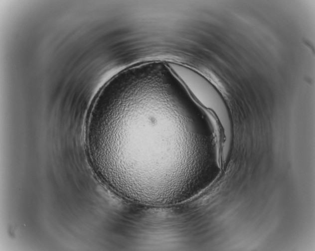 X0000091181044200708161514