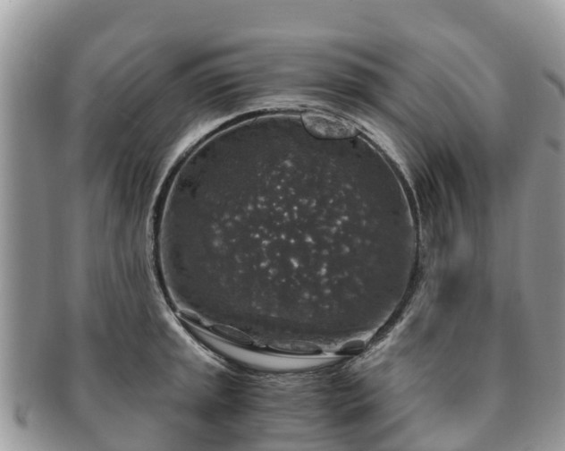 X0000091181045200708161514