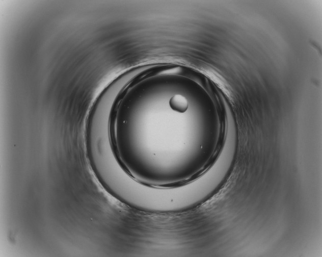 X0000091181046200708161514