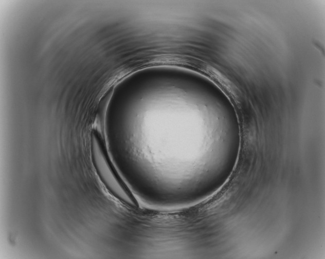 X0000091181049200708161514
