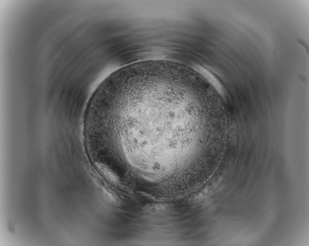 X0000091181051200708161514