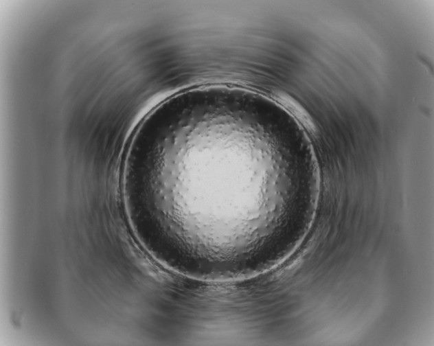 X0000091181052200708161514