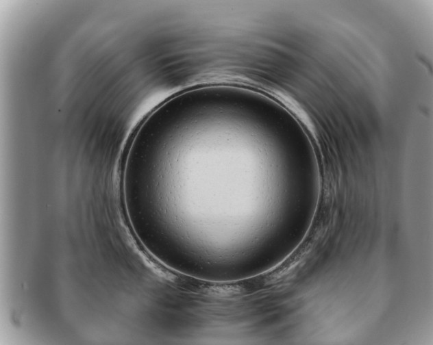 X0000091181053200708161514