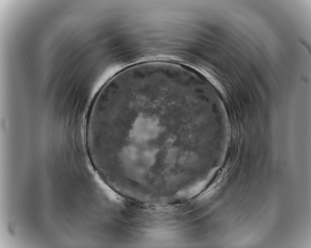 X0000091181054200708161514