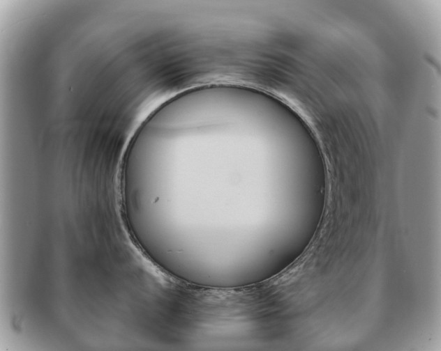 X0000091181056200708161514