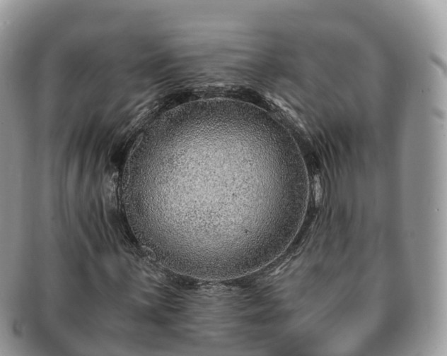 X0000091181059200708161513