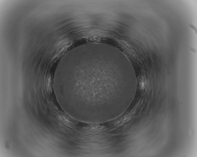 X0000091181060200708161513