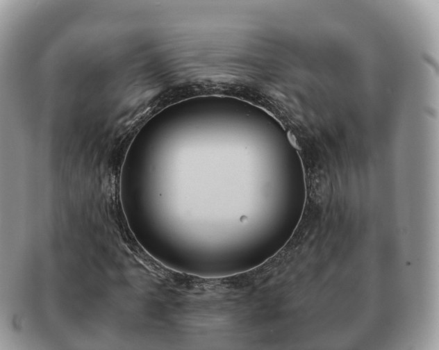 X0000091181061200708161513