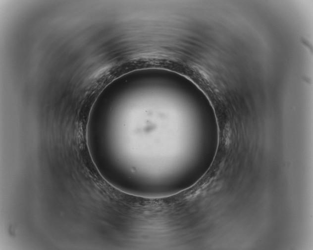 X0000091181062200708161513