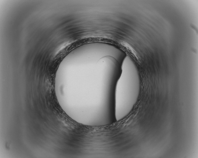 X0000091181064200708161513