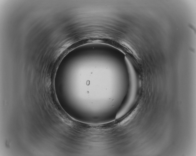 X0000091181065200708161513
