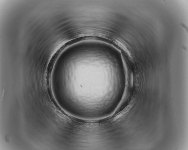 X0000091181068200708161513