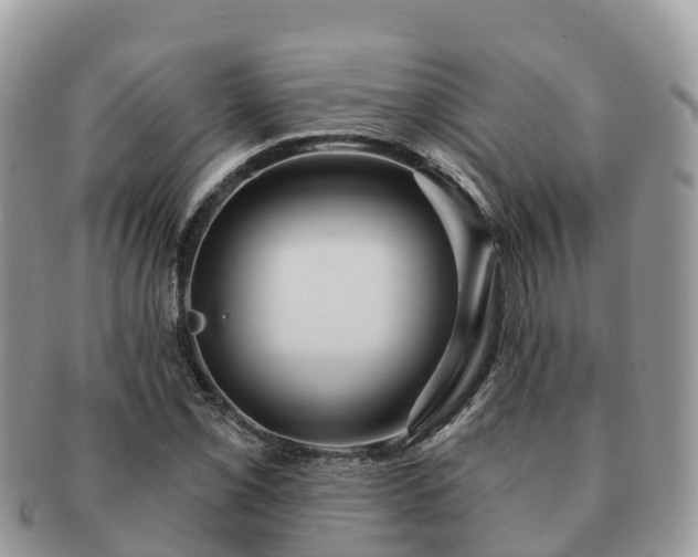 X0000091181069200708161513