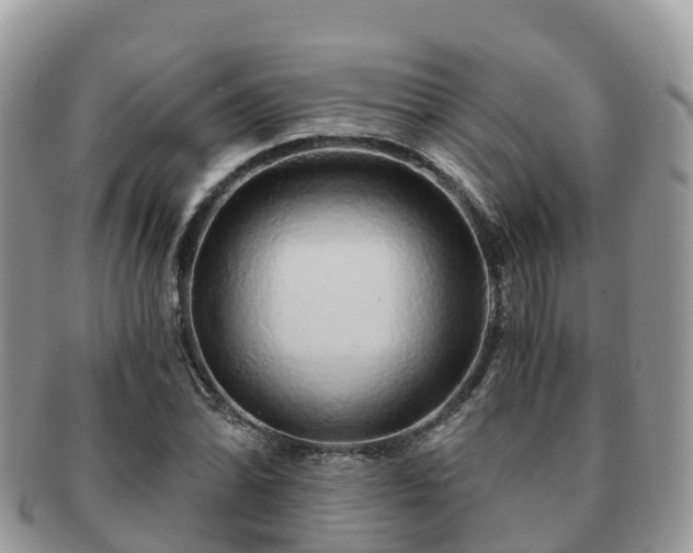 X0000091181070200708161513