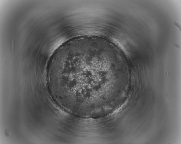 X0000091181071200708161513