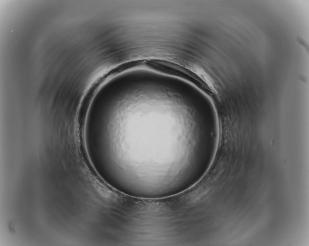 X0000091181072200708161513