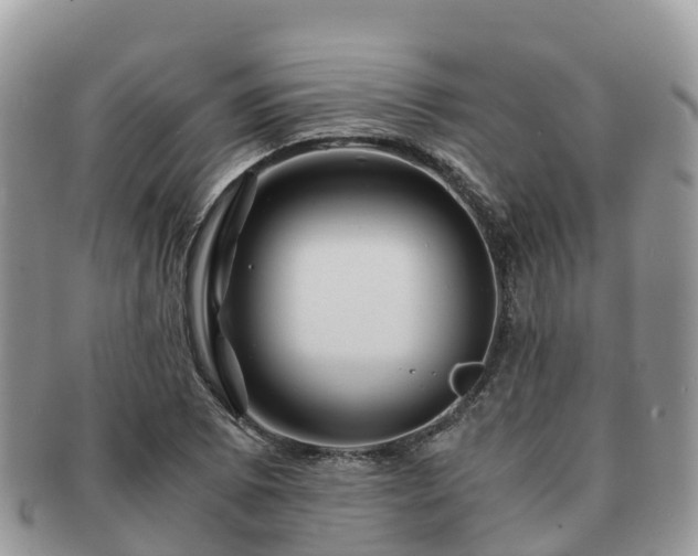 X0000091181073200708161513