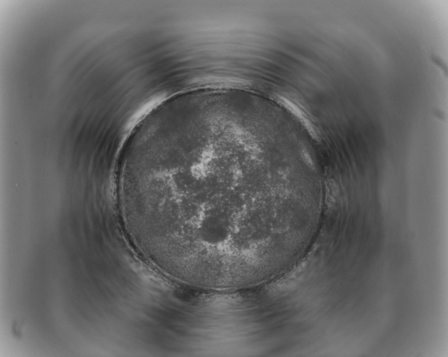 X0000091181074200708161513
