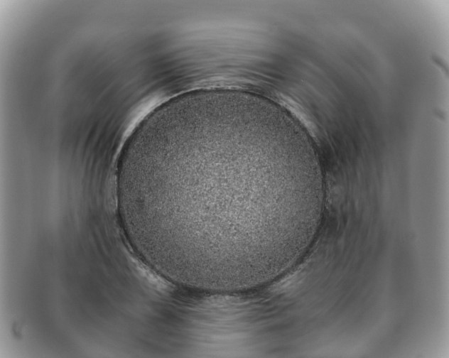 X0000091181075200708161513