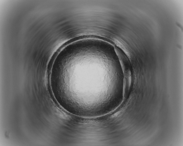 X0000091181076200708161513