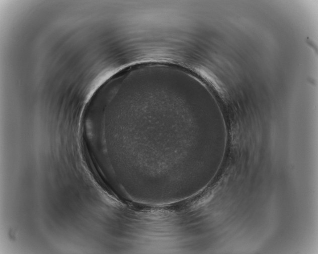 X0000091181077200708161513