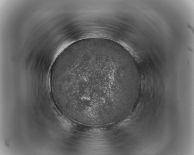 X0000091181078200708161513