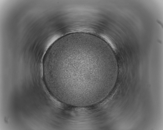 X0000091181079200708161513