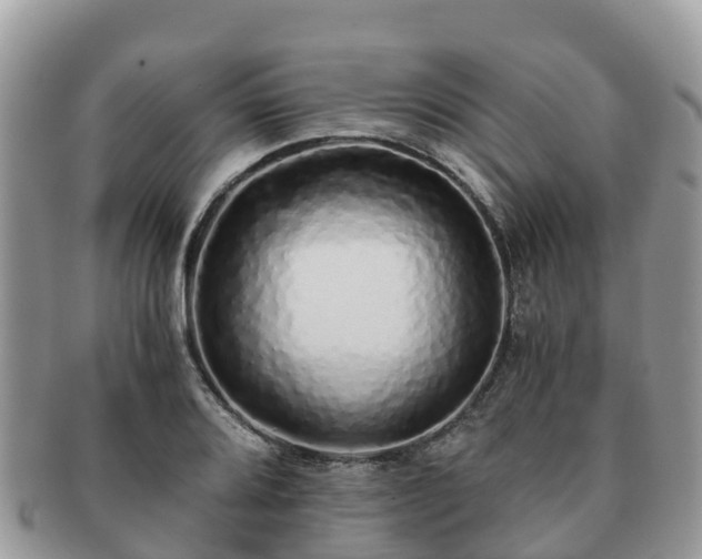 X0000091181080200708161513